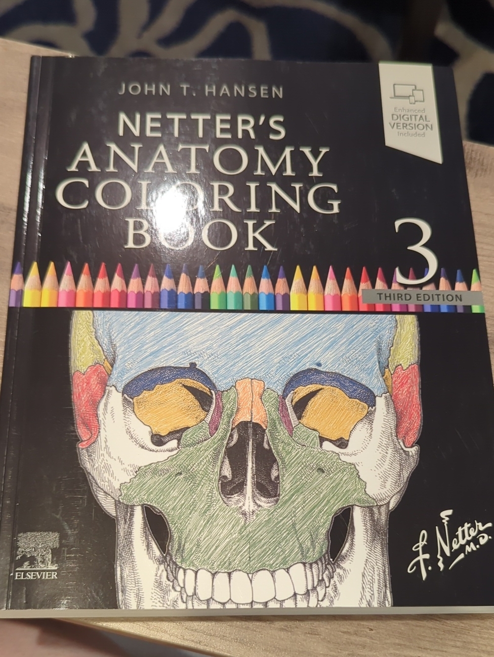 Netter's Anatomy Coloring Book 3 - Illustrated Skull Cover